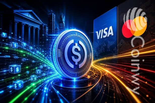 Stablecoin Transaction Volume in 2026 vs Visa... | Coinwy